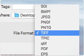 Export image formats